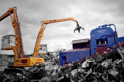 ASM Metal Recycling Ltd, Dunstable, England