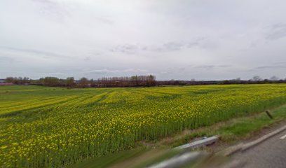 T T Curry & Son, Houghton le Spring, England