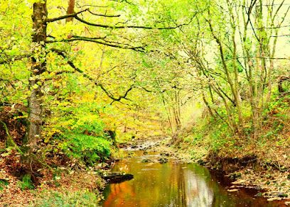 Sims Metals Ripponden, Sowerby Bridge, England